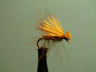 CDC Elk Hair Caddis (14-16)